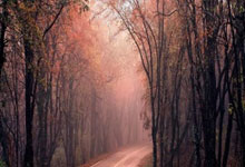 媒体人:国企股东介入后,河南主帅南基一终于允许卡多索入队.