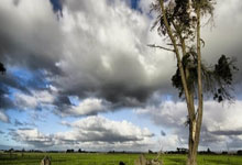 星空体育官网:2-0!连续逆风翻盘,时隔十天再胜世界第21,陈雨菲终圆冠军梦!.