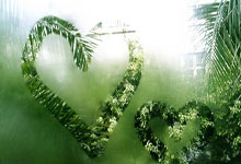 本轮中超出现了5张红牌,均为主裁判回看VAR后做出的决定.