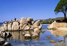 星空体育官网:赛点丨出战查尔斯顿 郑钦文无缝衔接红土赛季.